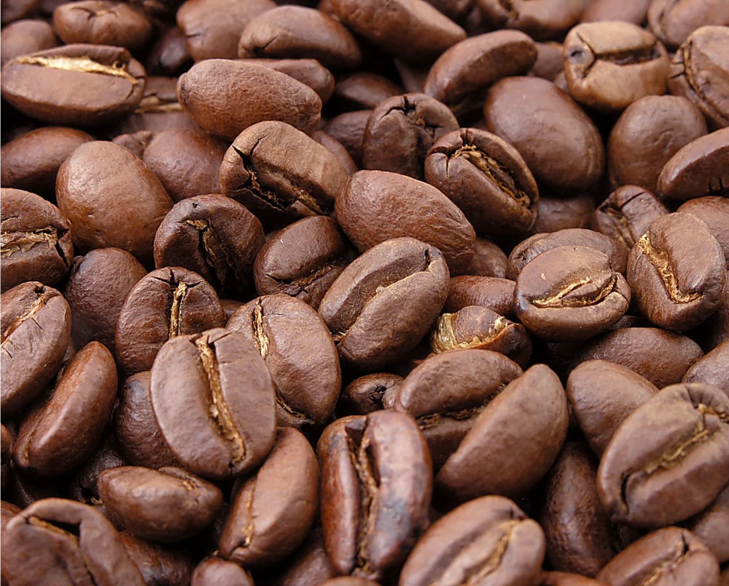 القهوة